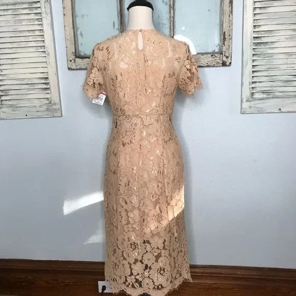 Beautiful NWT NSR Dress - Picture 8 of 14